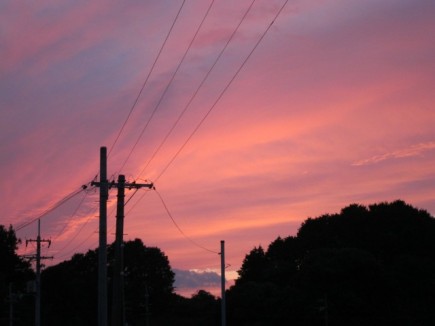 �摜(435x326)�E�g��摜(640x480)