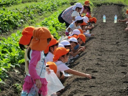 �摜(435x326)�E�g��摜(640x480)