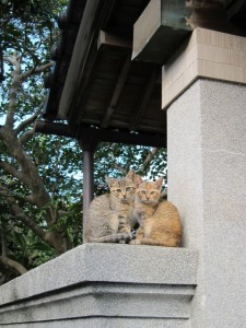 �摜(225x300)�E�g��摜(480x640)