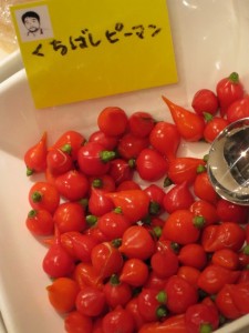 �摜(225x300)�E�g��摜(480x640)