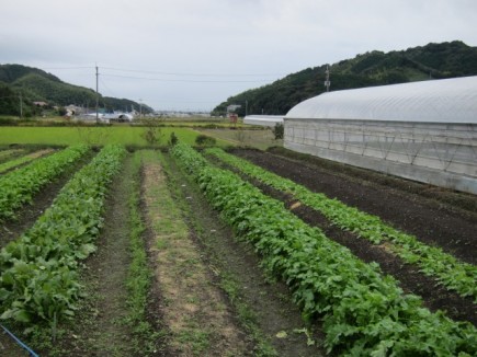 �摜(435x326)�E�g��摜(640x480)