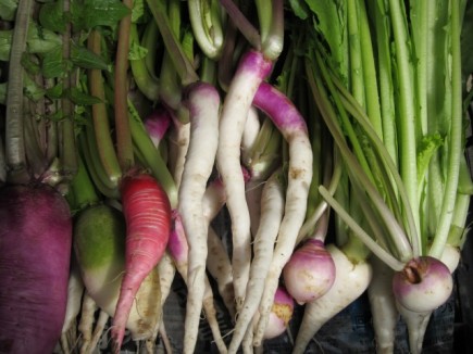 �摜(435x326)�E�g��摜(640x480)