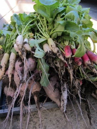 �摜(326x435)�E�g��摜(480x640)