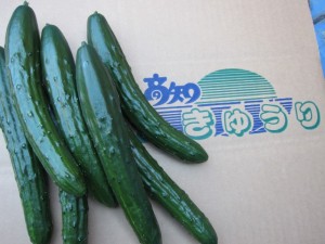 �摜(300x225)�E�g��摜(640x480)