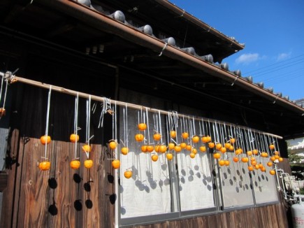 �摜(435x326)�E�g��摜(640x480)