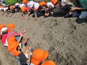 �摜(300x225)�E�g��摜(640x480)