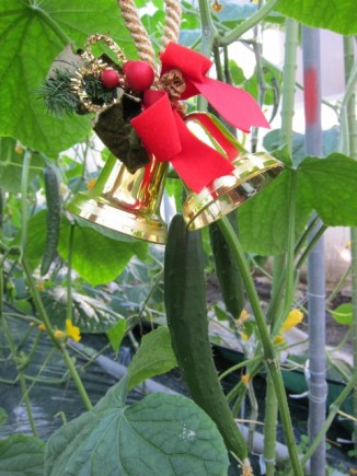 画像(326x435)・拡大画像(480x640)