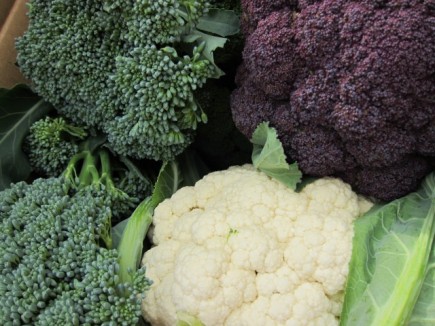 �摜(435x326)�E�g��摜(640x480)