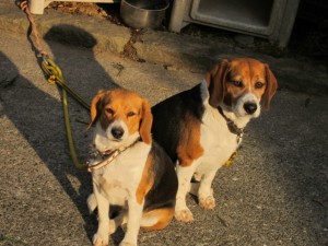 �摜(300x225)�E�g��摜(640x480)