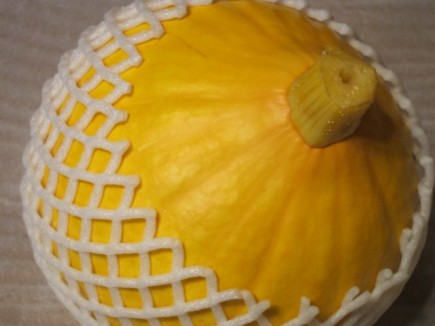 �摜(435x326)�E�g��摜(640x480)