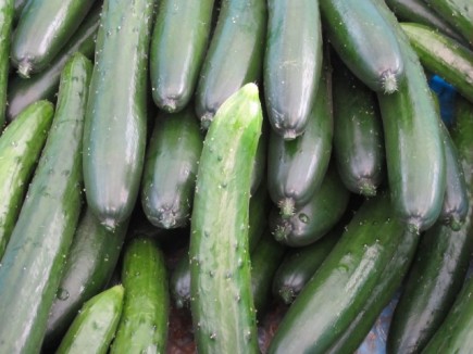 �摜(435x326)�E�g��摜(640x480)