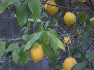 �摜(300x225)�E�g��摜(640x480)