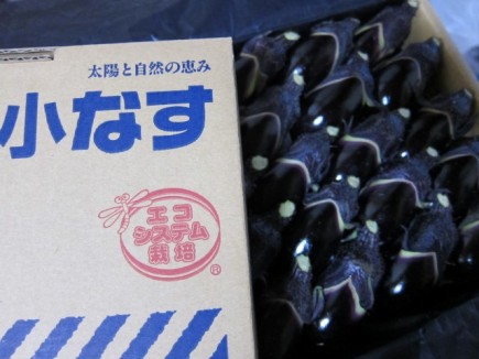 �摜(435x326)�E�g��摜(640x480)