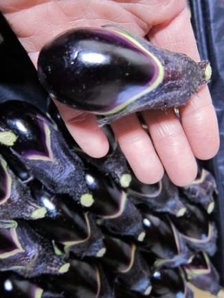 �摜(326x435)�E�g��摜(480x640)