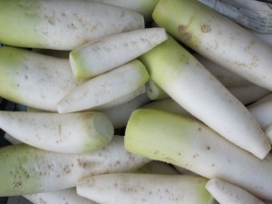 �摜(300x225)�E�g��摜(640x480)