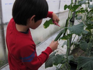 �摜(300x225)�E�g��摜(640x480)