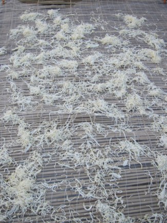 �摜(326x435)�E�g��摜(480x640)