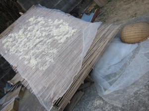 �摜(300x225)�E�g��摜(640x480)