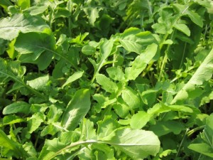 �摜(300x225)�E�g��摜(640x480)