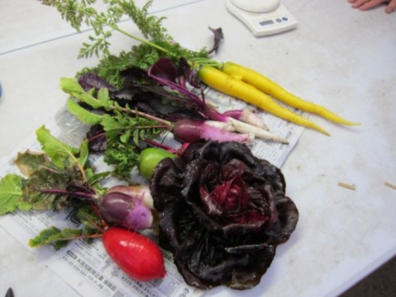 �摜(435x326)�E�g��摜(640x480)