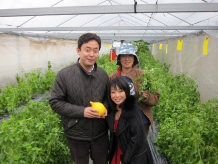 �摜(435x326)�E�g��摜(640x480)