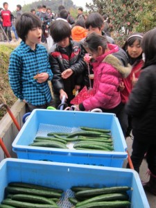 �摜(225x300)�E�g��摜(480x640)