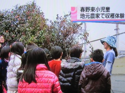 �摜(435x326)�E�g��摜(640x480)