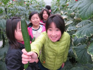 �摜(300x225)�E�g��摜(640x480)