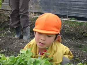 �摜(300x225)�E�g��摜(640x480)