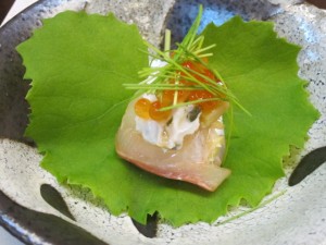 �摜(300x225)�E�g��摜(640x480)