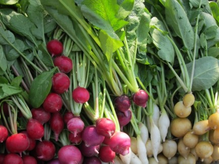 �摜(435x326)�E�g��摜(640x480)