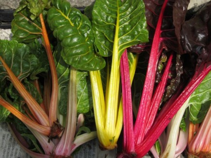 �摜(435x326)�E�g��摜(640x480)