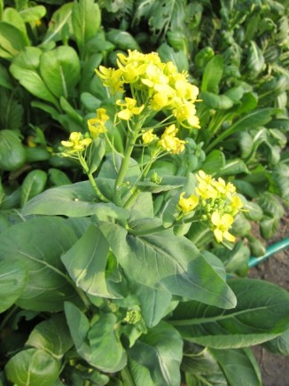 �摜(326x435)�E�g��摜(480x640)