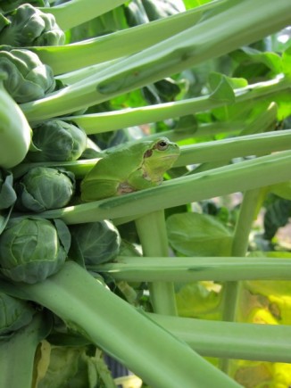 �摜(326x435)�E�g��摜(480x640)