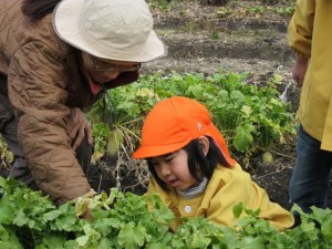 �摜(300x225)�E�g��摜(640x480)