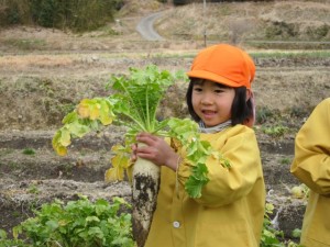 �摜(300x225)�E�g��摜(640x480)