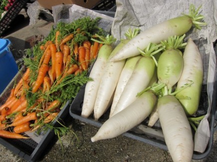 �摜(435x326)�E�g��摜(640x480)