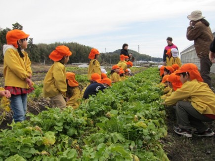 �摜(435x326)�E�g��摜(640x480)