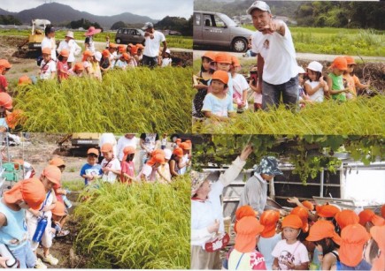 �摜(435x307)�E�g��摜(640x452)