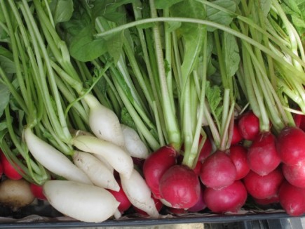 �摜(435x326)�E�g��摜(640x480)