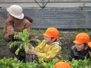 �摜(300x225)�E�g��摜(640x480)