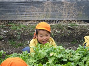 �摜(300x225)�E�g��摜(640x480)