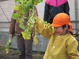 �摜(300x225)�E�g��摜(640x480)