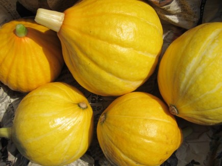 �摜(435x326)�E�g��摜(640x480)