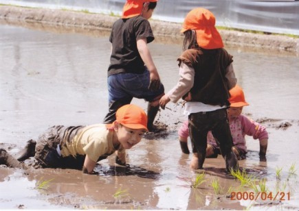 �摜(435x308)�E�g��摜(640x454)