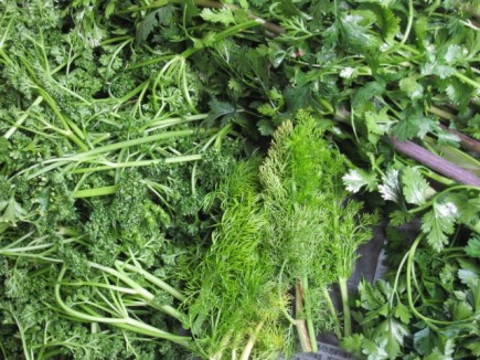 �摜(435x326)�E�g��摜(640x480)