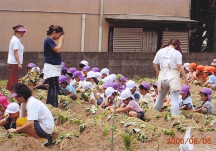 �摜(435x305)�E�g��摜(640x449)