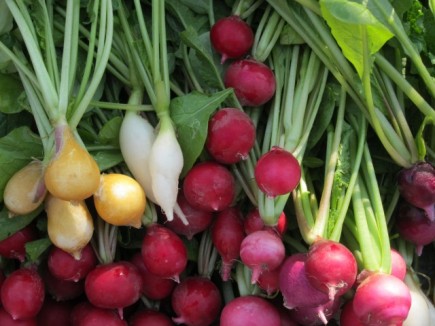 �摜(435x326)�E�g��摜(640x480)