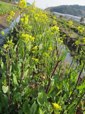 �摜(326x435)�E�g��摜(480x640)