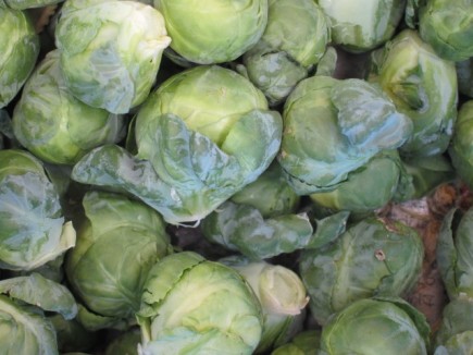 �摜(435x326)�E�g��摜(640x480)